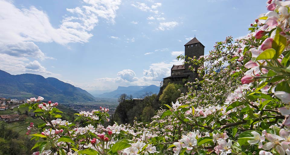 Meran und seine Umgebung